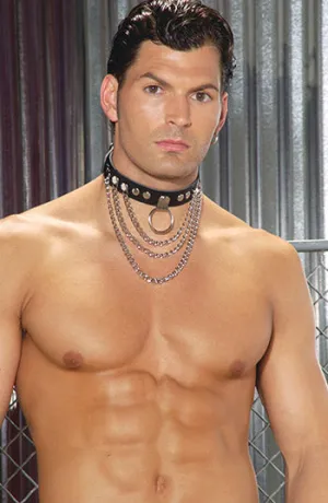 Leather Collar with Chains