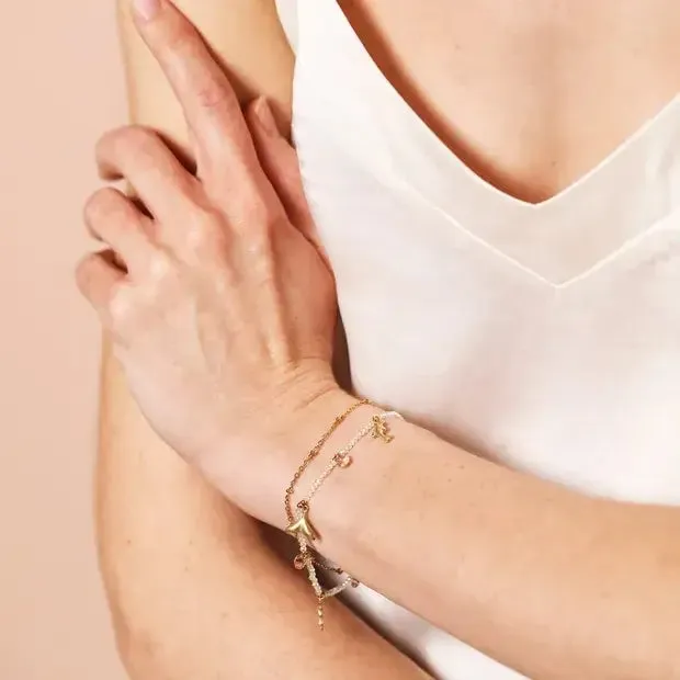 Stainless Steel Double Layer Dolphin Charm Bracelet in Gold